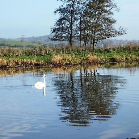 The Bower Inn Bridgwater Kültér fotó Swans on the River Wye